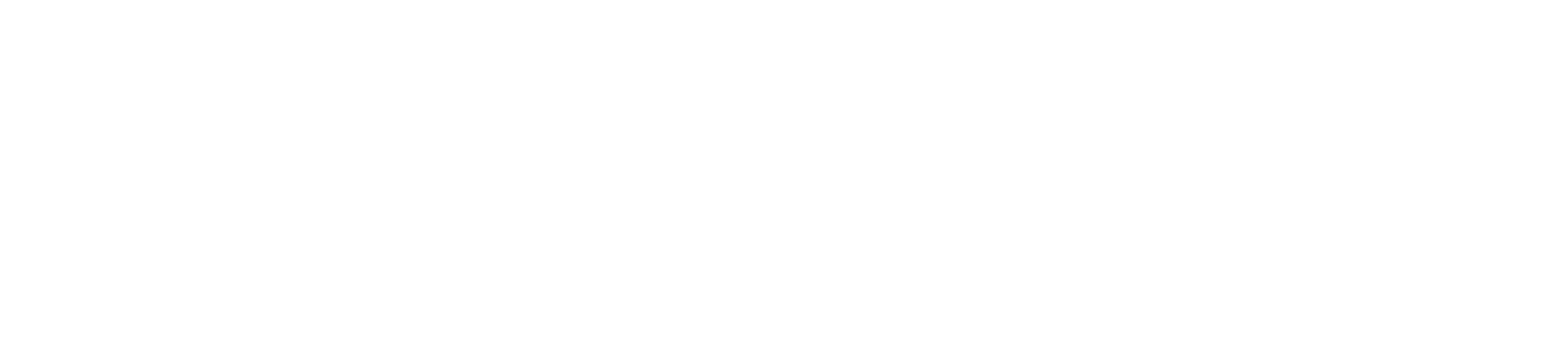 Innovators Networking Club